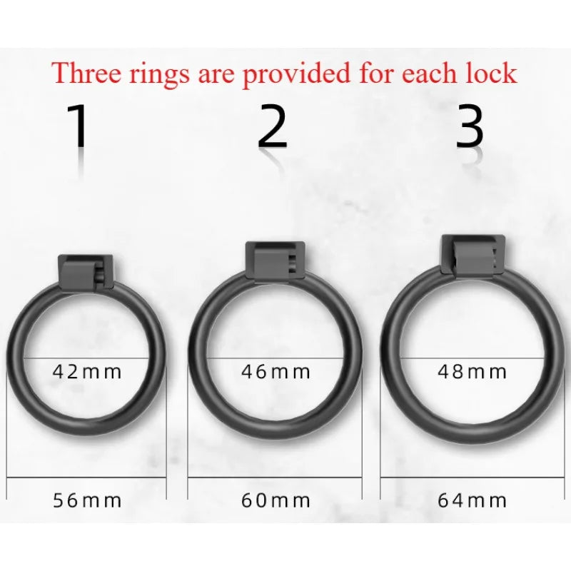 Male Chastity Dragon Lock  Device Comfortable To Wear Bird Cage Ring Male SM Penis Bondage Cage Penis Training Toy Adult Product