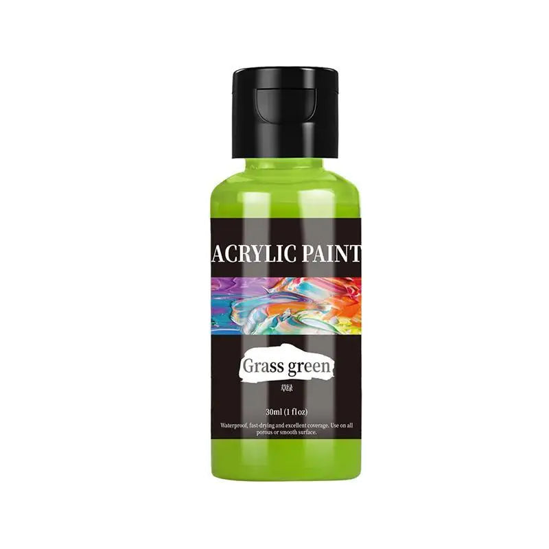 High-Quality 30 Ml/Bottle Acrylic Paint Colors Dyestuff Paint For Fabric Clothing Painting For Leather DIY Pigment Graffiti