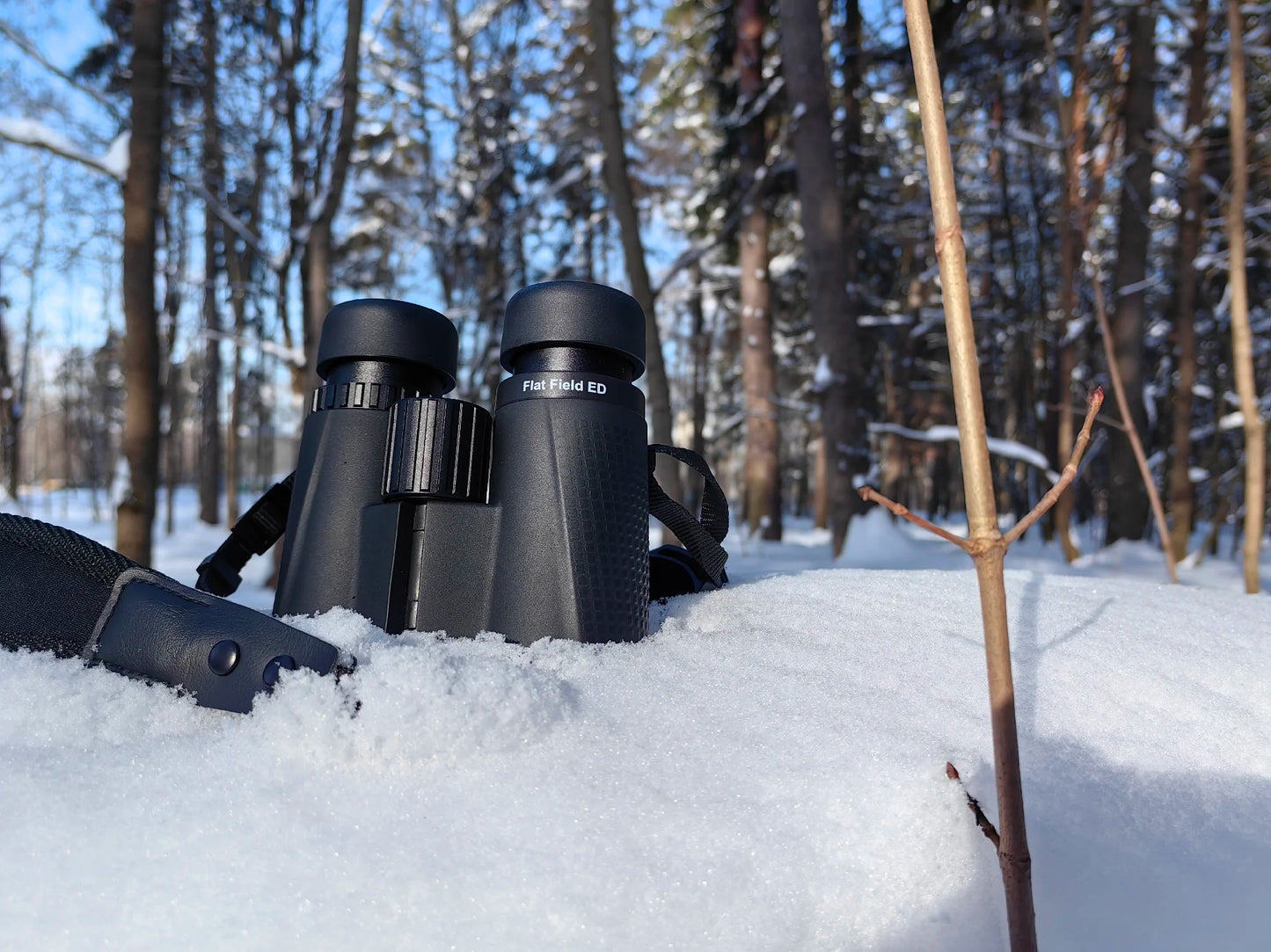 Svbony SA205 Binoculars ED Flat-field 8X42/10X42 Professional IP67 Waterproof BAK4 Twist-up Eyecups for Travelling Bird Watching