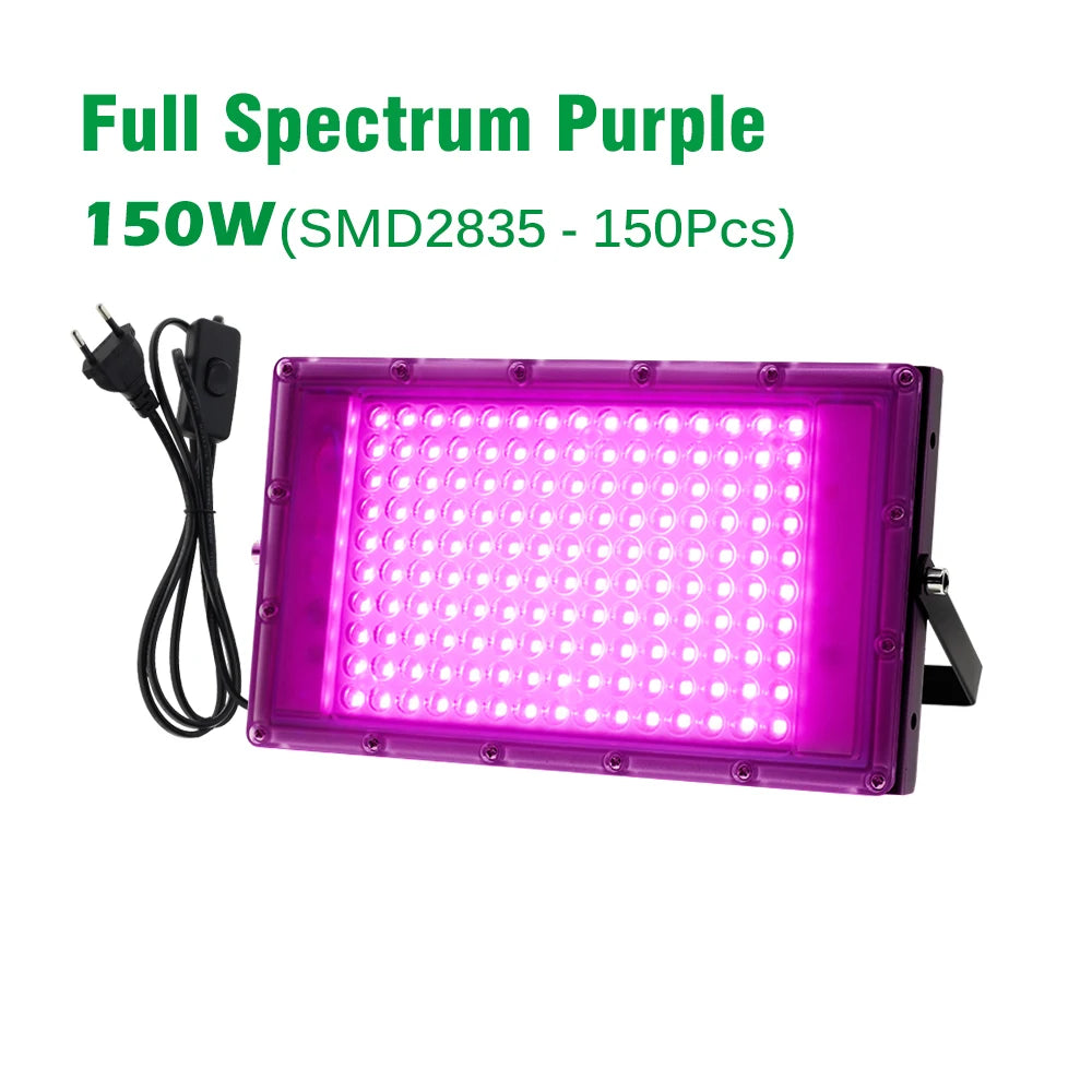 Full Spectrum LED Grow Light 50W 100W Imitated Sunlight Phyto Lamp For Greenhouse Hydroponic Plant Growth Lighting