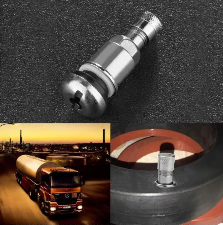 4Pcs Bolt-in Stainless Car Motorcycle Wheel Tyre Tire Valve Stems with Dust Caps