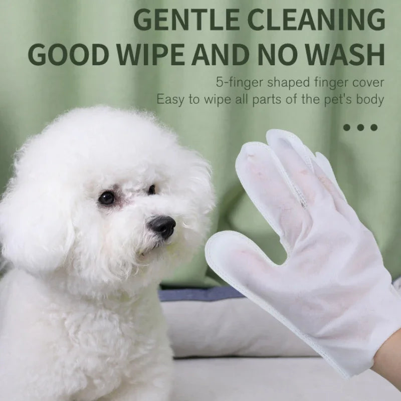 6pcs Pet Disposable Gloves Dog Bath Cleaning Wipes Mild Deodorizing Full Body Special Cleaning Gloves Cat Grooming Supplies
