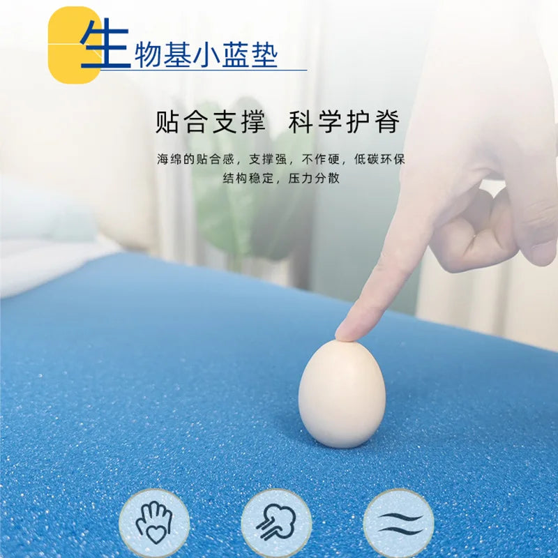 Star Hotel Bed and Breakfast Mattress Double Layer Independent Bag Spring Five Mini   Latex Cotton New