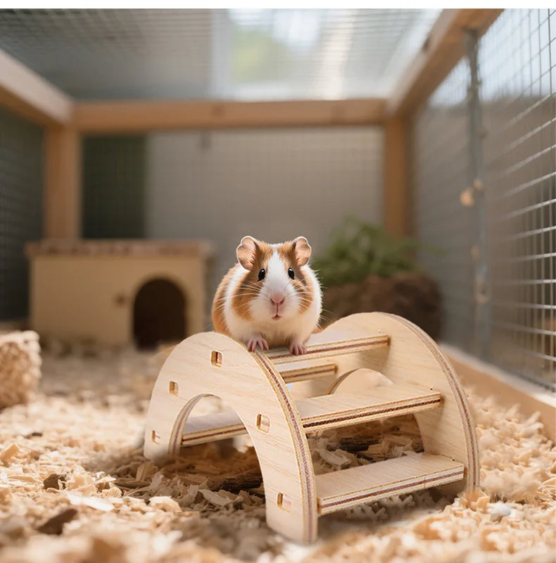 Hamster Squirrel Solid Wood Avoidance House Hedgehog Wooden House Golden Bear Nest Dutch Pig Dormitory Rutin Chicken Large House
