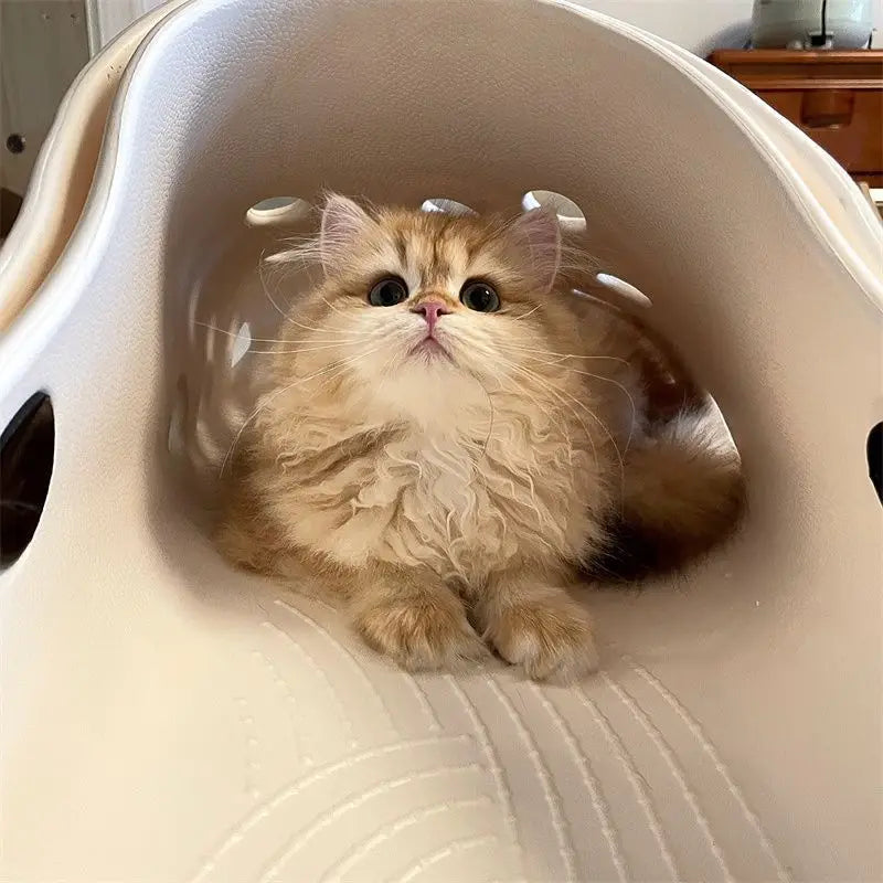 Crocs Big Cat Beds and Furniture Breathable Funny and Creative design House for Cats Comfortable Cat Products Accessories