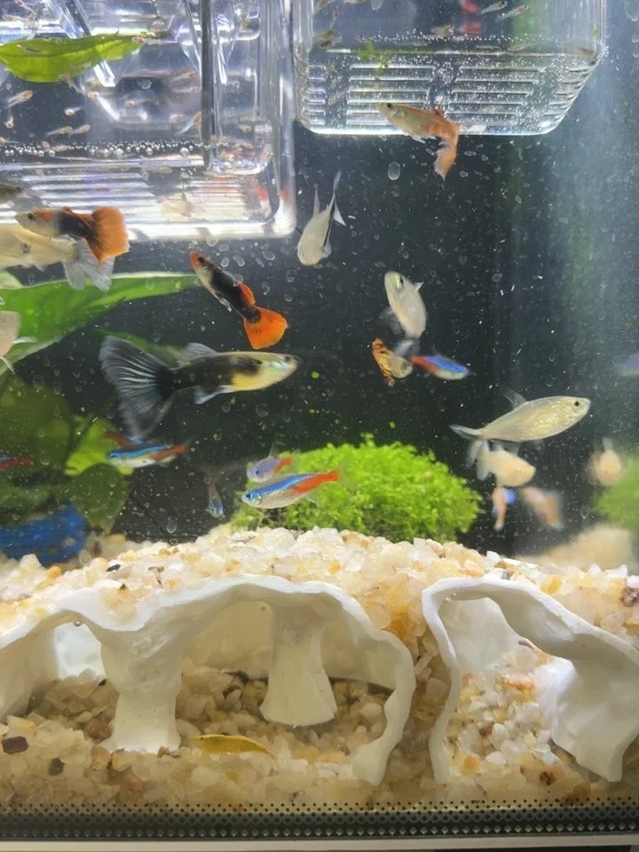 Fish Tank Underground Cave for Fish Shrimp Reptile Shelter Hiding Houses, Landscaping Ornaments 3D Printing Aqaurium Decorations