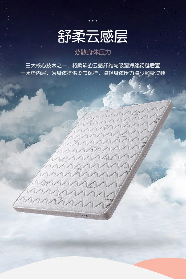 Coconut Palm Hard Mat Manufacturer 1.5m Children's Dormitory 3E Coconut Palm Mattress B & B 1.8m Hotel Wholesale Simmons New