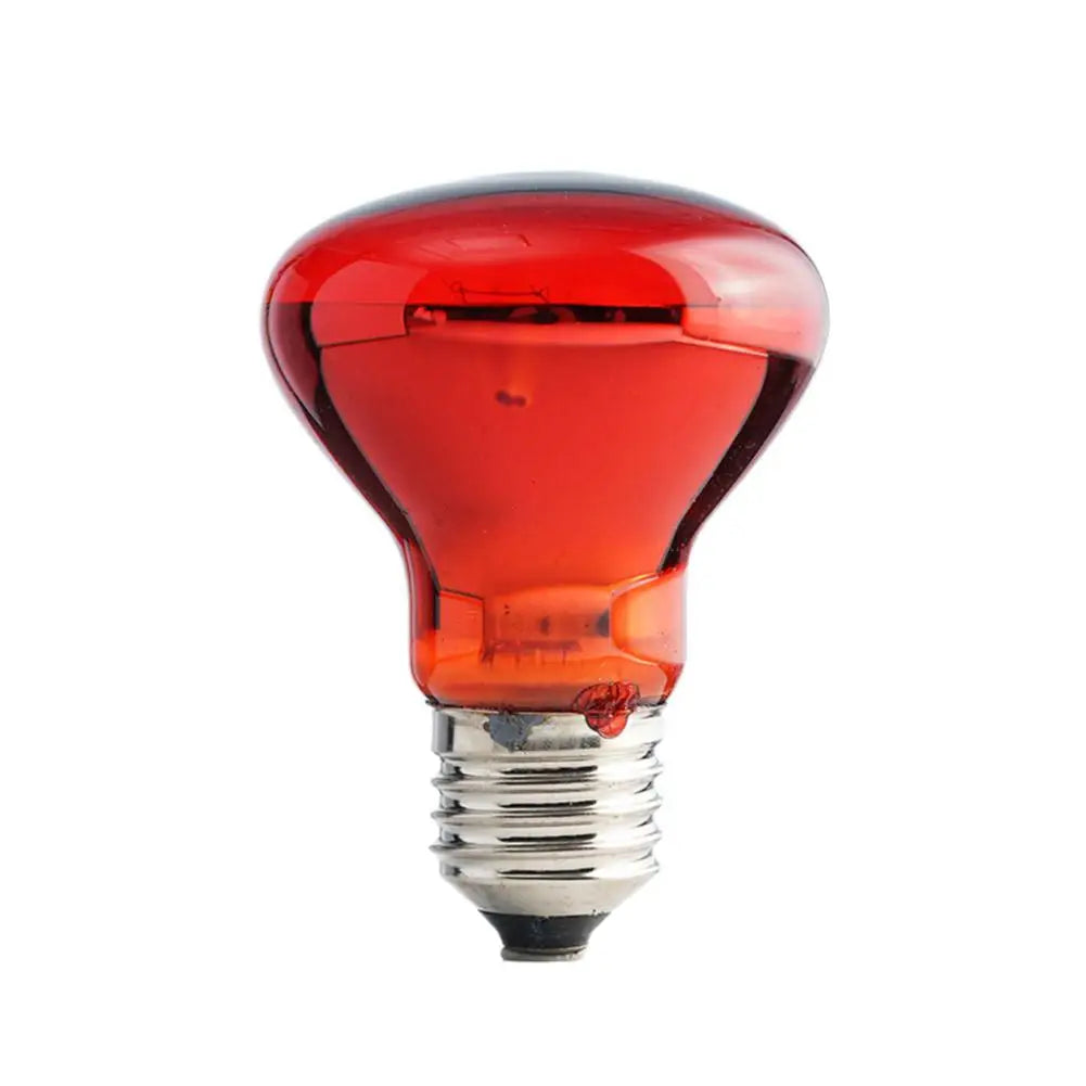 Pet Heating Lamp UVA Day Night Amphibian Amphibian Snake Lamp Heat Reptile Bulb Light Heat Reptile Bulb 25/50/75/100W 220-240V