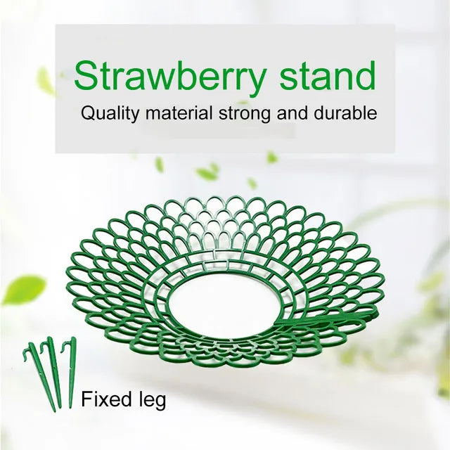 Gardening Strawberry Vegetable Growing Supports Keeping Plant Fruit Stand Rack Tools For Protecting Vines Avoid Ground retail