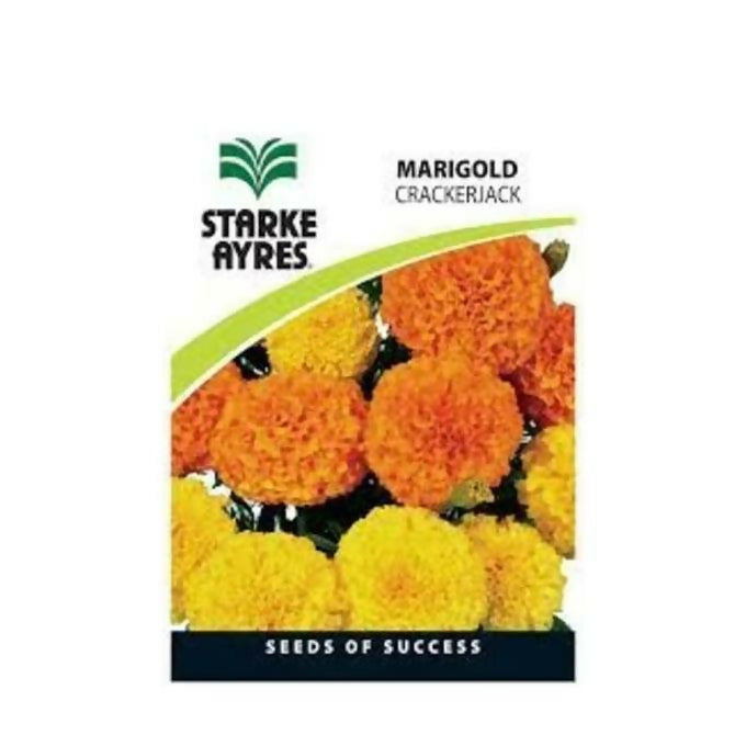 Starke Ayres Marigold Crackerjack Flower Seeds