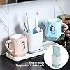 Toothbrush/Cutlery Holder