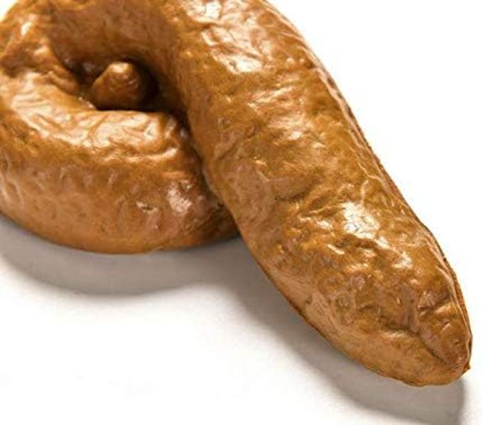 Realistic Shit Poop, Plastic Mischief Turd, Classic Funny Toy