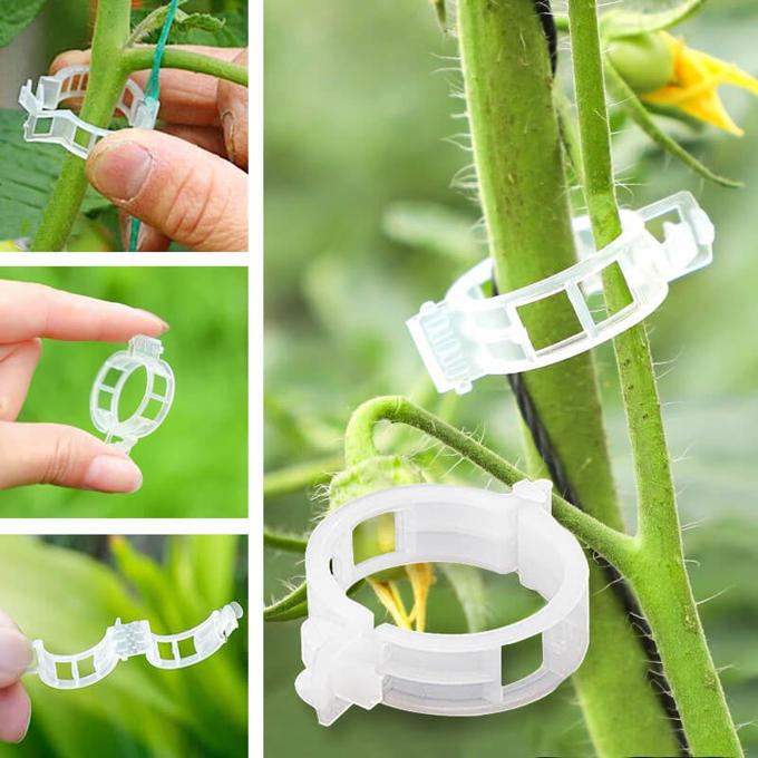 50pcs Tomato Garden Reusable Plant Support Clips for Trellis Twine Connects Grafting Fixing, High Temperature Resistant