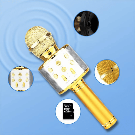Portable Wireless Bluetooth Karaoke Microphone Speaker for Kids & Family Fun