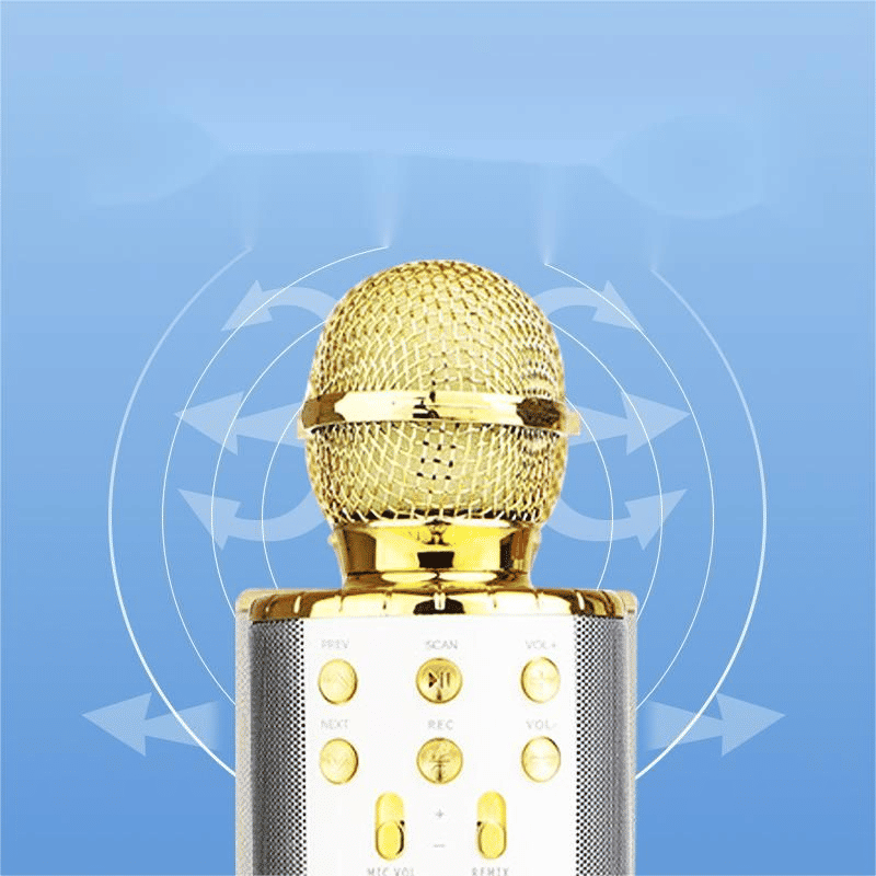 Portable Wireless Bluetooth Karaoke Microphone Speaker for Kids & Family Fun