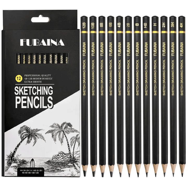Professional 12-Piece Graphite Drawing and Sketching Pencil Set