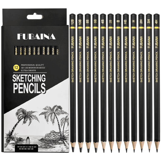 Professional 12-Piece Graphite Drawing and Sketching Pencil Set