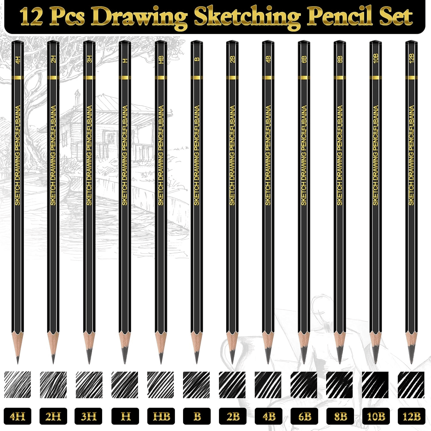 Professional 12-Piece Graphite Drawing and Sketching Pencil Set