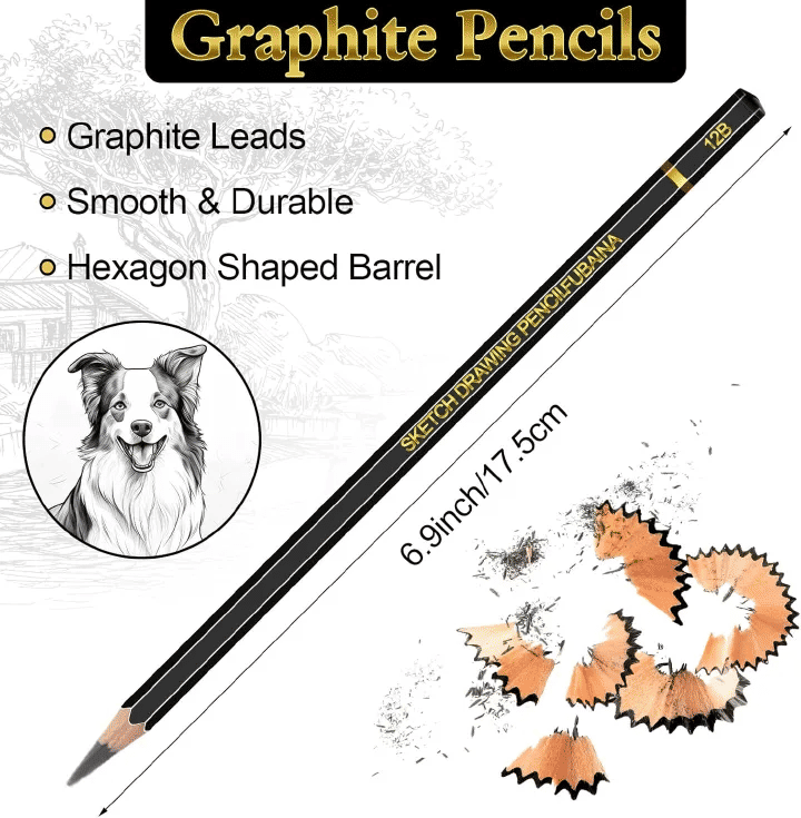Professional 12-Piece Graphite Drawing and Sketching Pencil Set
