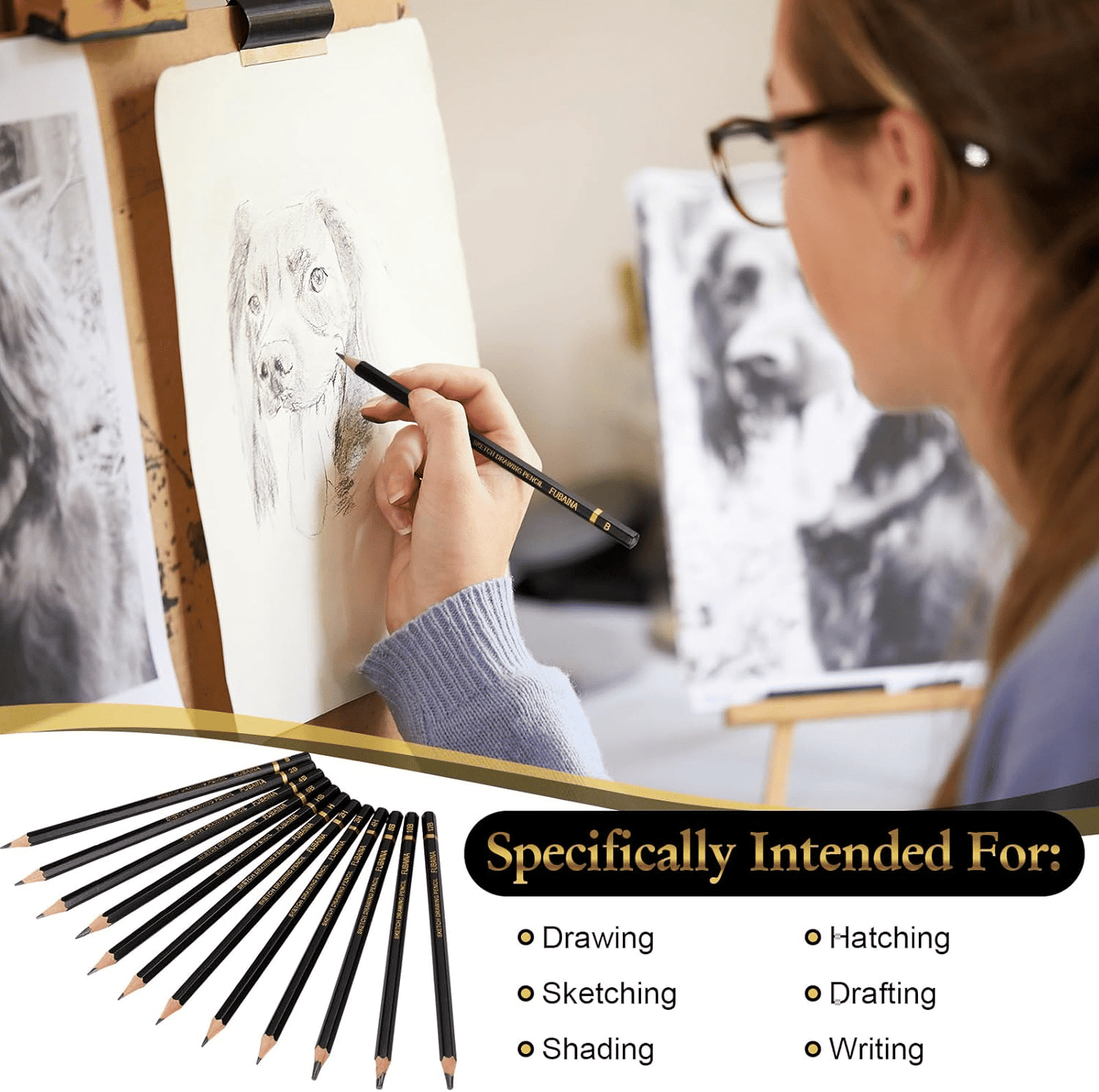 Professional 12-Piece Graphite Drawing and Sketching Pencil Set