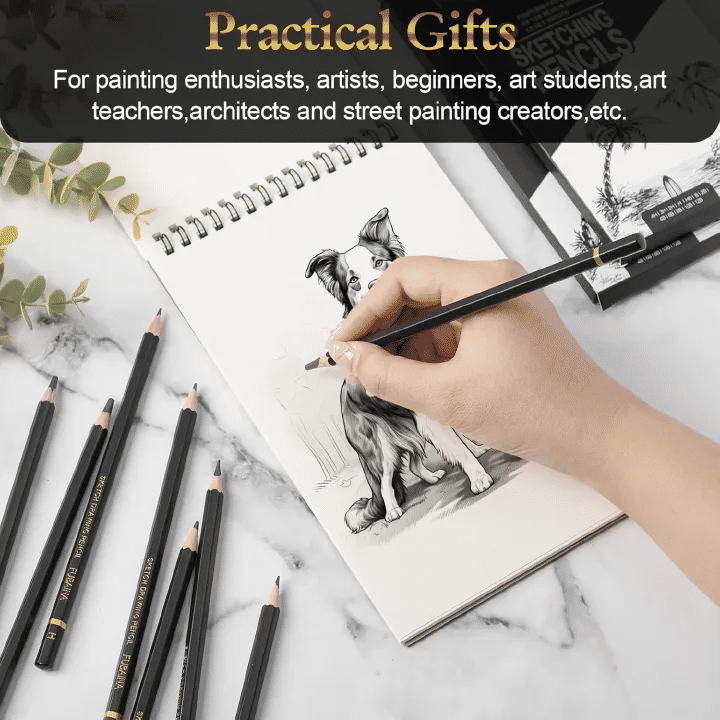 Professional 12-Piece Graphite Drawing and Sketching Pencil Set