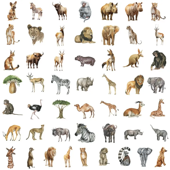 50pcs Watercolor African Animal Cartoon Stickers Waterproof Vinyl Decals