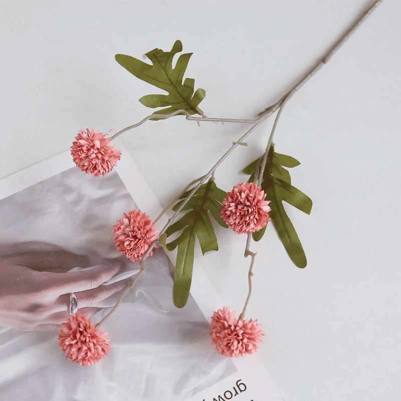 https://img.kilimall.com/c/obs/seller/100006939/goods_image/250310140824_219021db98ca6bb7f202a05c9e179514.jpg