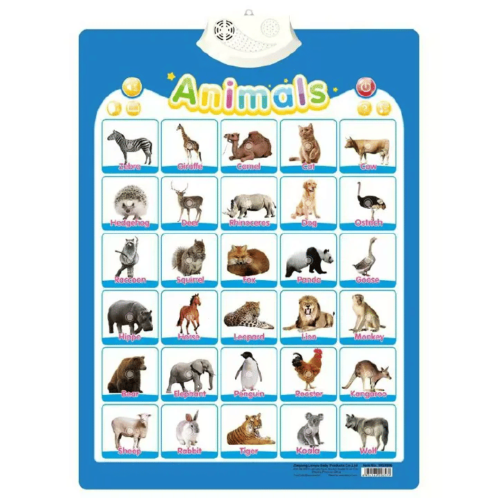 Interactive Kids Educational Learning Wall Chart Electronic Puzzle Toy
