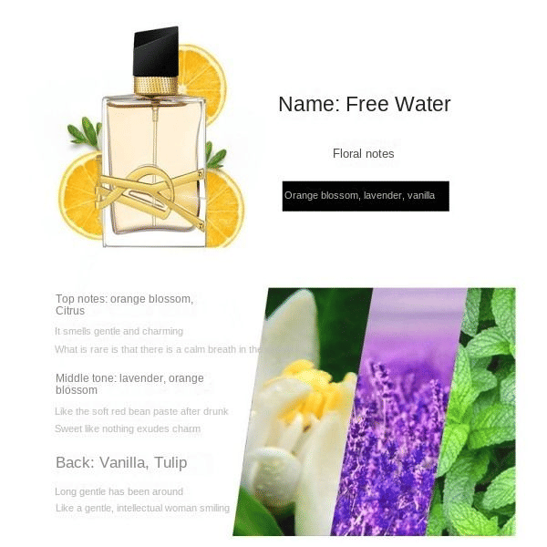Delicate Parisian Fashion Fragrance for Women 50ml Long Lasting Scent