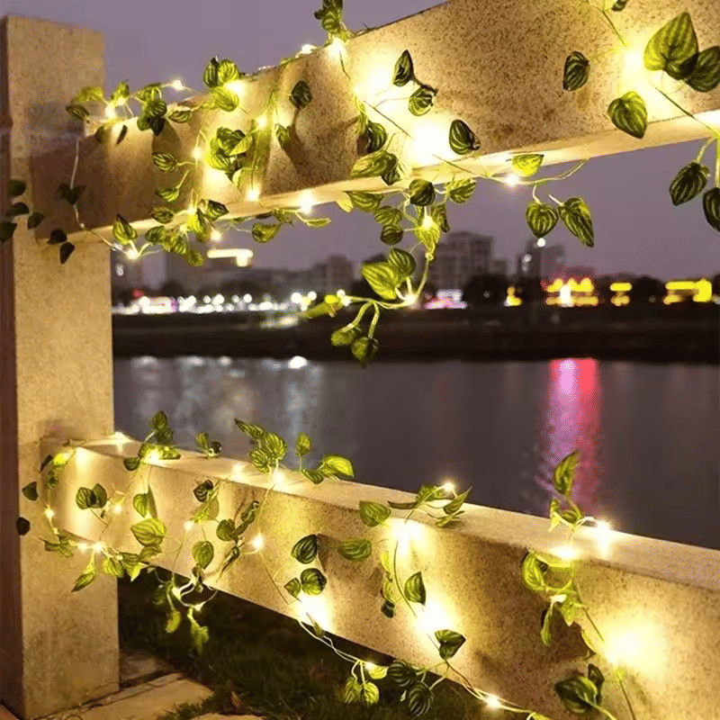https://img.kilimall.com/c/obs/seller/8684/goods_image/250804135215_180c8487d377924042325308fb6f2dec.jpg