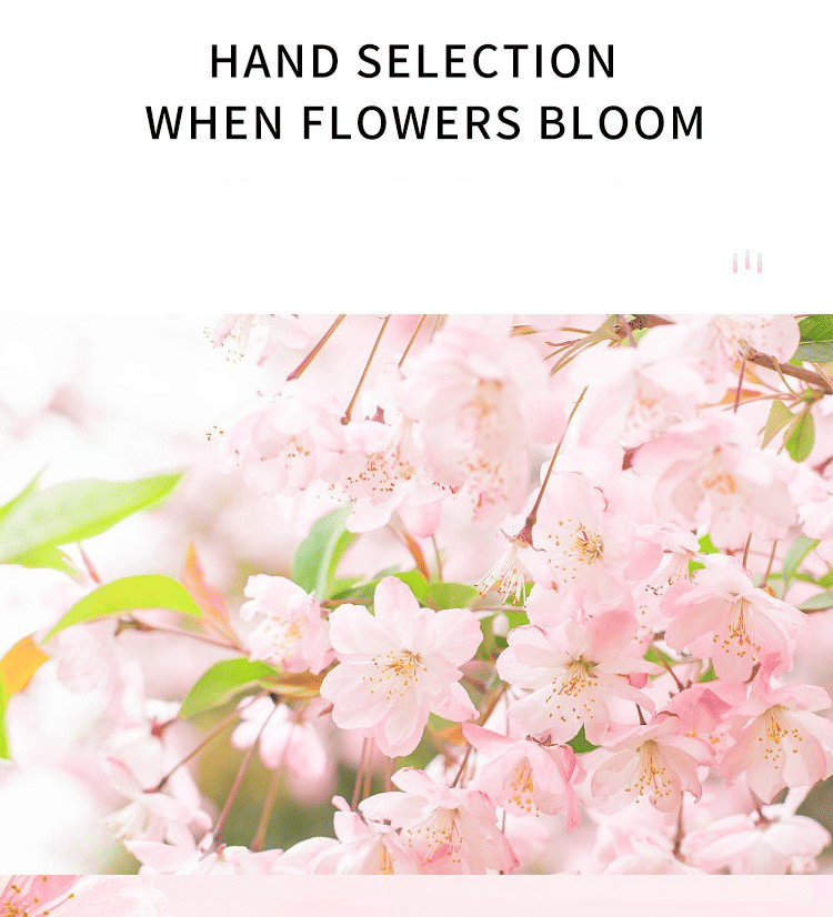 LULANZI Cherry Blossom Women's Perfume Fresh Durable Fragrance