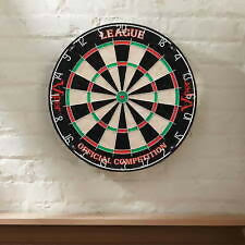 Professional Dart board