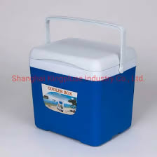 15L Portable Cooler Box Cold/Warm Dual Purpose.