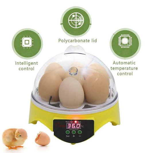 7 Eggs Digital Incubator Fully Auto Digital Hatcher Machine