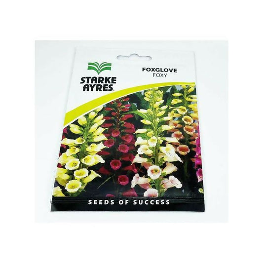 Starke Ayres Summer Foxglove Foxy Flower Packets 15g