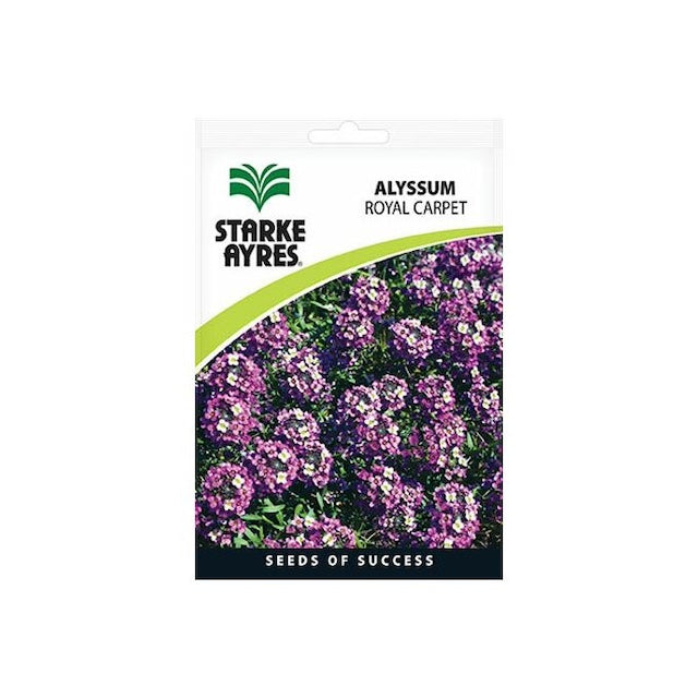 Starke Ayres Helichrysum Double Flowers Seeds, Starke Ayres Alyssum - Royal Carpet Flowers Seeds