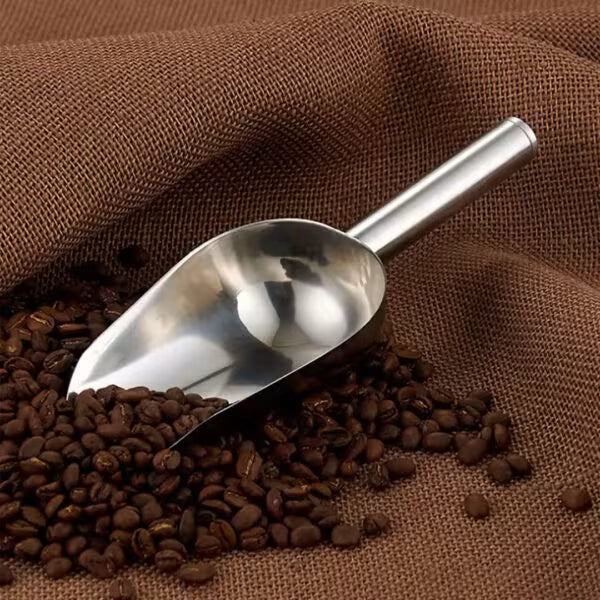 Stainless Steel Scoops