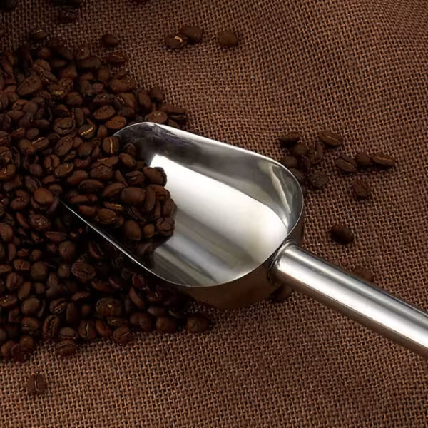 Stainless Steel Scoops