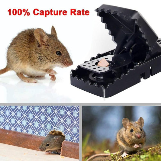 Tomcat Heavy Duty Mouse Trap, Mice Trap High Sensitive Plastic Instantly Quick Response, 100% Rodent Trap For Indoor Use