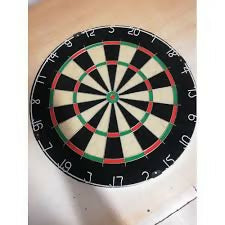 Professional Dart board