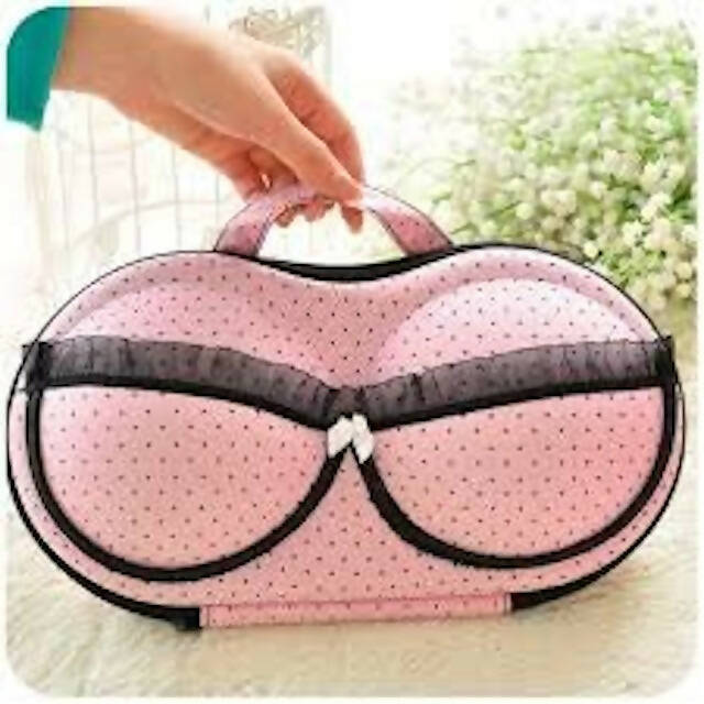 Bra Underwear Lingerie Case, Travel Bag Storage Box, Portable Storage Laundry Protection, Women Bra Storage Case