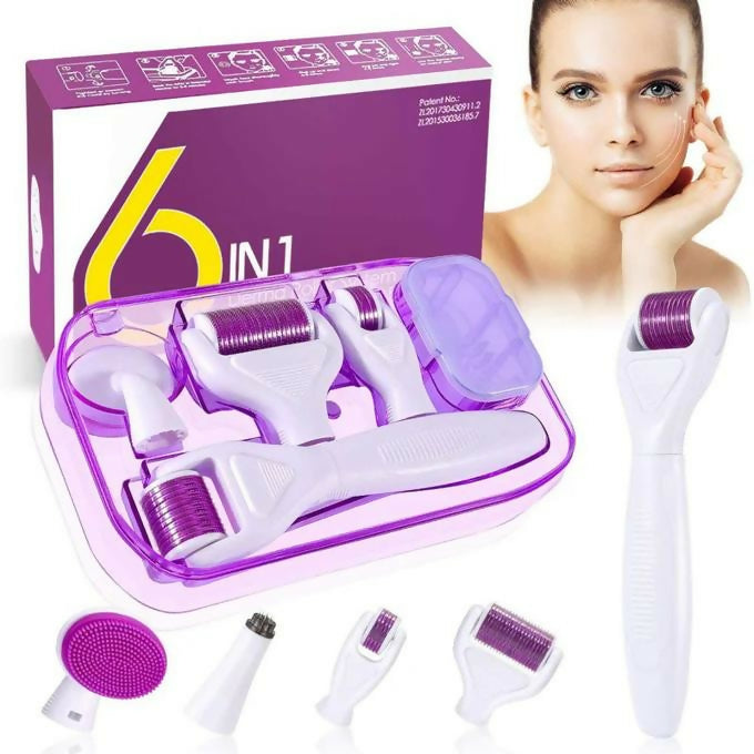 6 In 1 Derma Rollers Micro Needles Kit Micro Titanium Machine Eye Skin Care Body Hair Growth